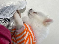 -怪兽屋·羊驼·猫咖·狗咖(俊华广场店)