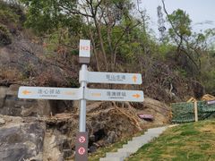-板樟山森林公园