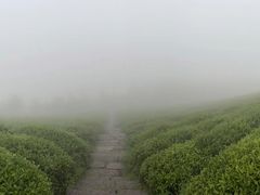 -东白山