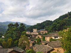 -杨家堂村