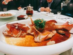 东星斑-华源餐厅·海鲜大排档(日月贝店)