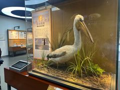 -漩门湾国家湿地公园