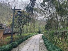 -法云安缦酒店