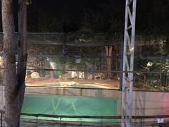-清迈夜间动物园