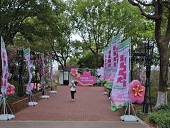 -金鸡湖桃花岛