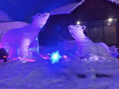 -世界之窗阿尔卑斯冰雪世界