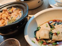 -佬肥猫(七宝宝龙店)