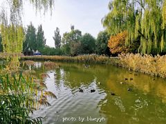 -将府公园