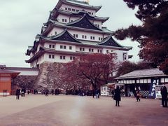 -名古屋城