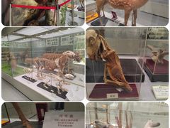 -北京中医药大学-中医药博物馆