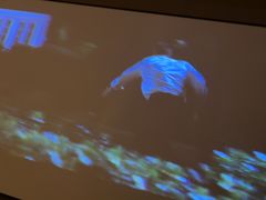 -韵道养生.足道.按摩.SPA(古美店)