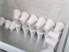 -洪馨椰子