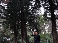 -人民公园(罗湖区)