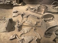 -洛阳周王城天子驾六博物馆