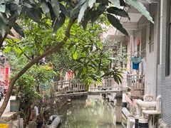 -小洲村