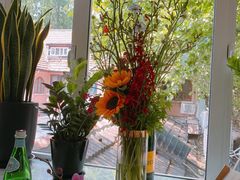 -蝶舍·MAISON PAPILLON