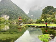 -靖西鹅泉风景区