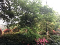 -东航云逸酒店(九溪烟树店)
