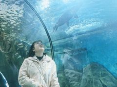 -苏州海洋馆