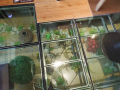 -彼芝奇比萨(红坊店)