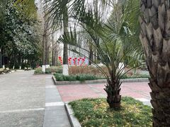 -苏州河梦清园环保主题公园