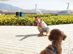 -光明小镇欢乐田园
