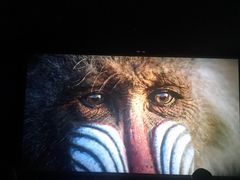 -国文影城(上海闸北店)