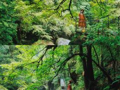 -龙苍沟森林公园