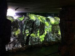 iphone_upload_pic-乐山乌木文化博览苑