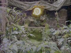 -花之城