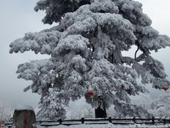 -秦岭终南山世界地质公园翠华山景区