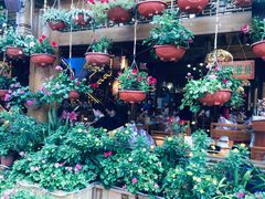 -民食香·腊排骨野生菌美食(木府店)