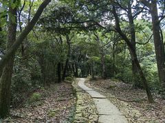 -西湖风景区十里琅珰-五云山