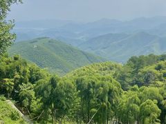 -莫干山风景区