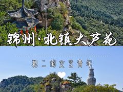 -大芦花风景区