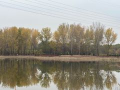 -东郊湿地公园