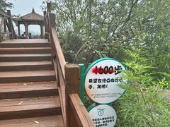 -大岭沟猕猴桃谷风景区