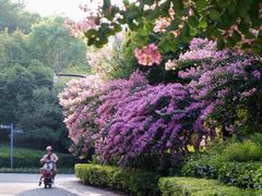 -杭州城北体育公园