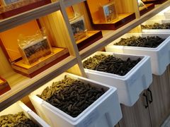 -宫品海参专卖店(静安大宁店)