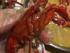 -杨氏青龙虾·羊蝎子(金盛路总店)