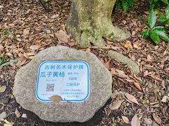 -秋霞圃