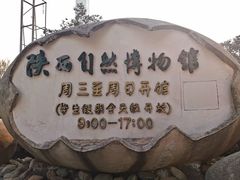 -陕西自然博物馆