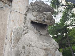 -北陵公园
