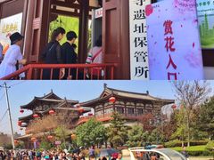-西安青龙寺遗址景区