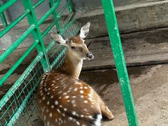 -瑞博尔花园酒店(太周创新产业园店)