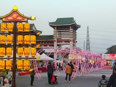 -王借岗森林公园