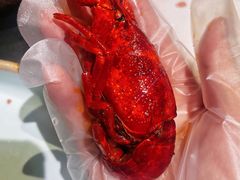 -虾乐园龙虾·烧烤夜宵(中山公园店)