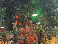 -北国之春国宴(乌兰察布店)