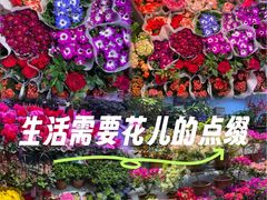 -大自然花鸟鱼虫市场