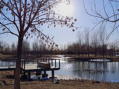 -东郊湿地公园